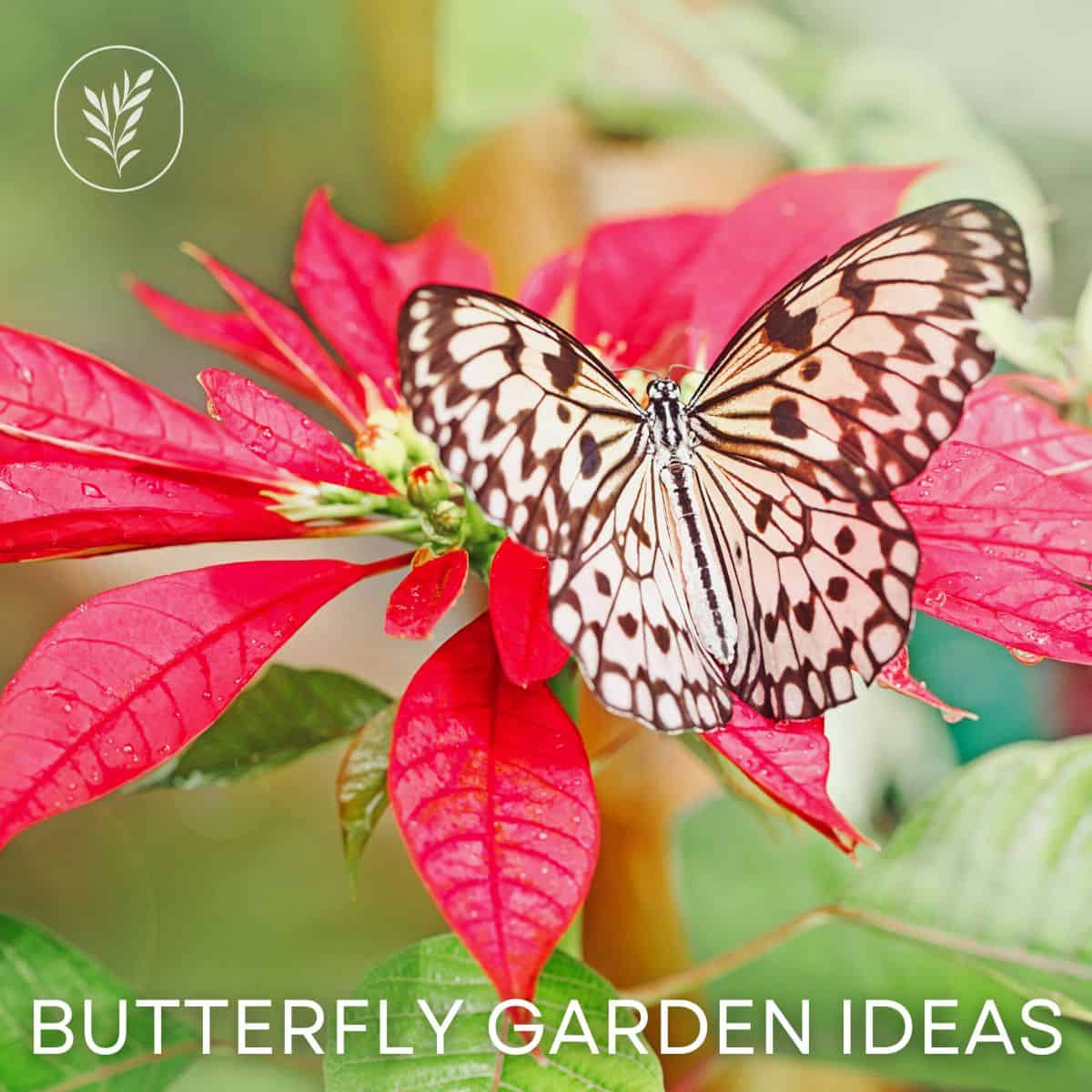 Butterfly garden ideas via @home4theharvest