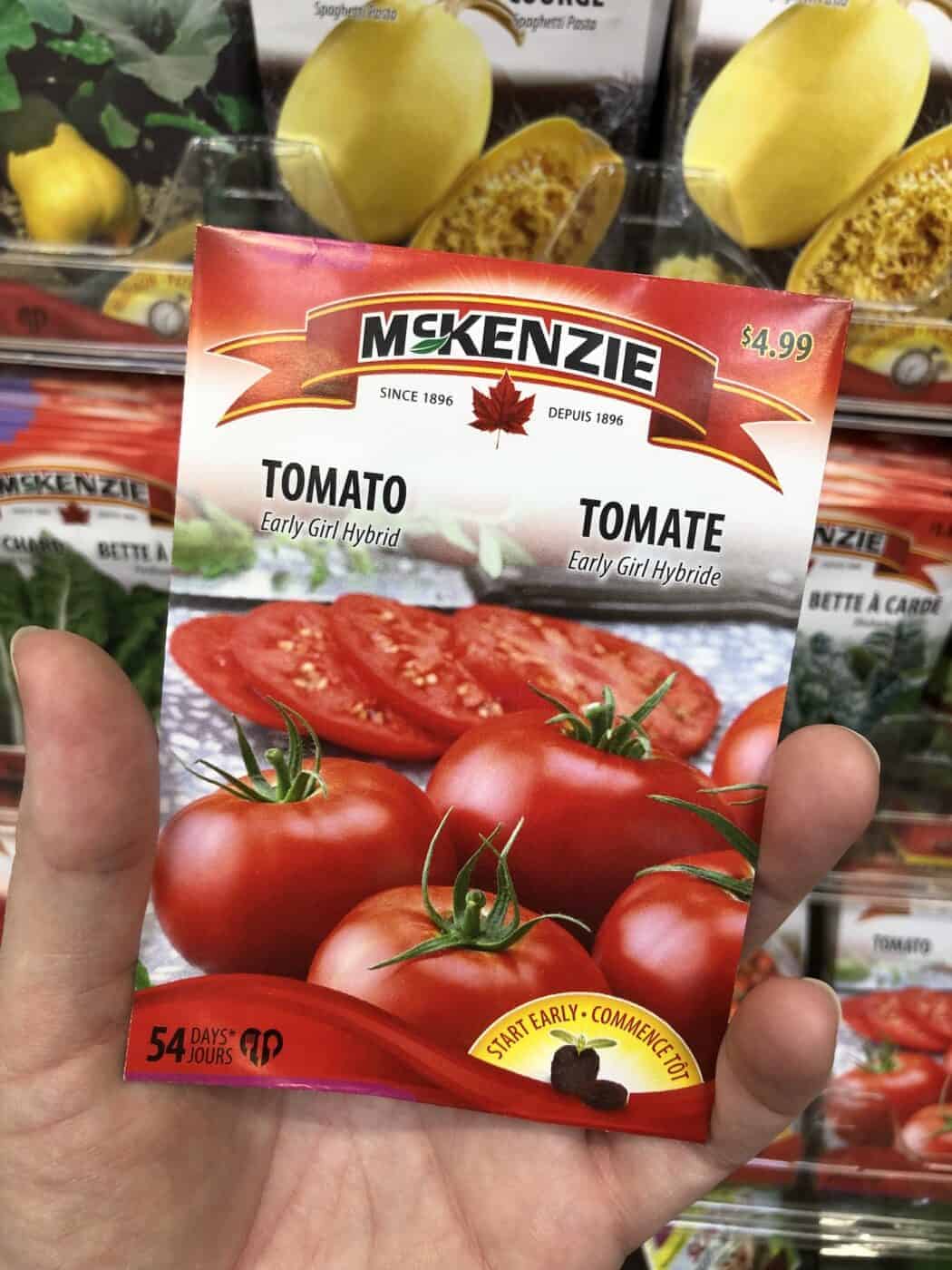 Early Girl tomato 🍅 🌱 Discover the benefits of this fastgrowing variety