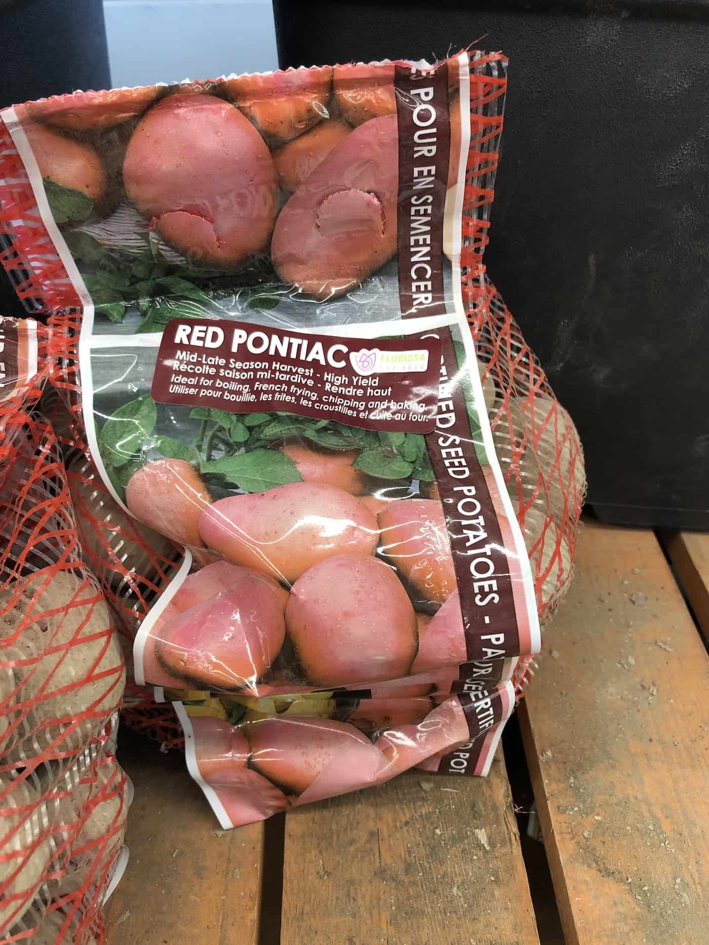 Red pontiac potatoes