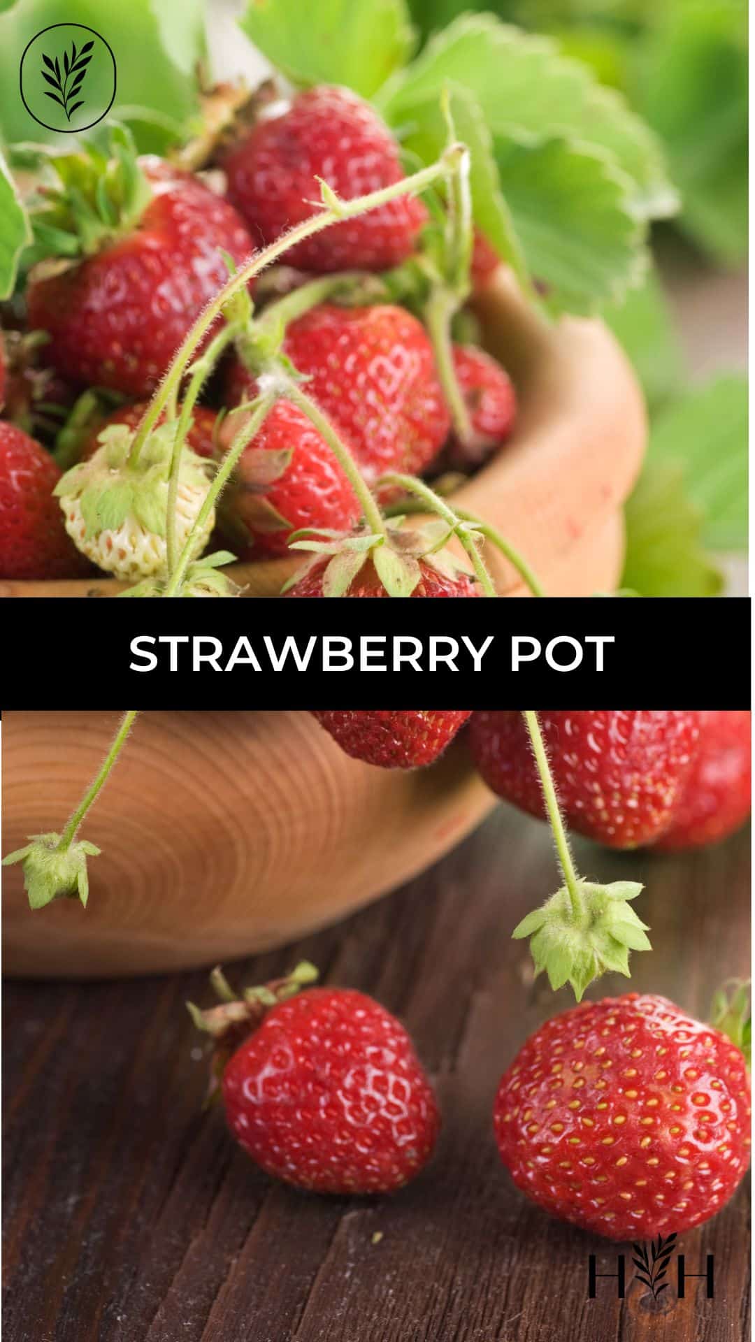 Strawberry pot via @home4theharvest