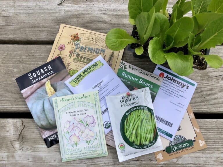 The best seed companies - vegetable gardens
