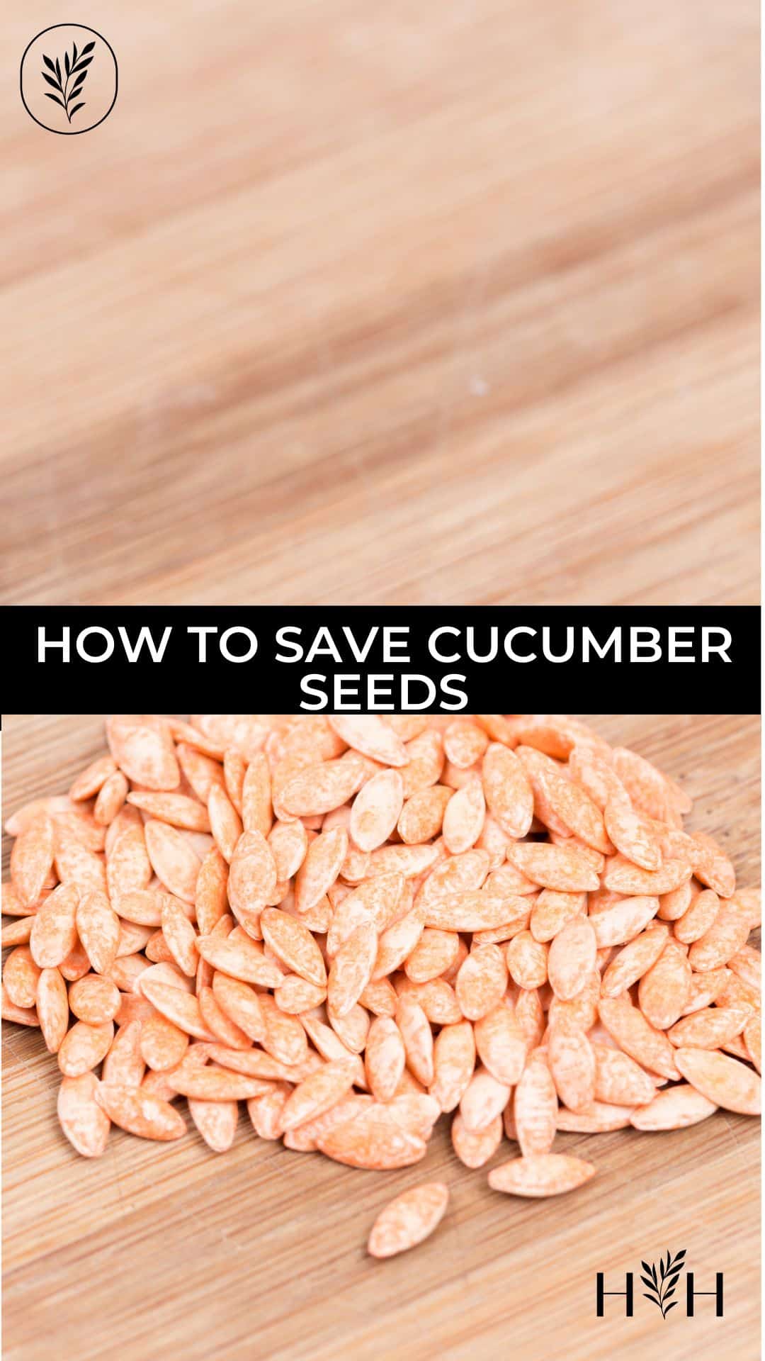 How to save cucumber seeds via @home4theharvest
