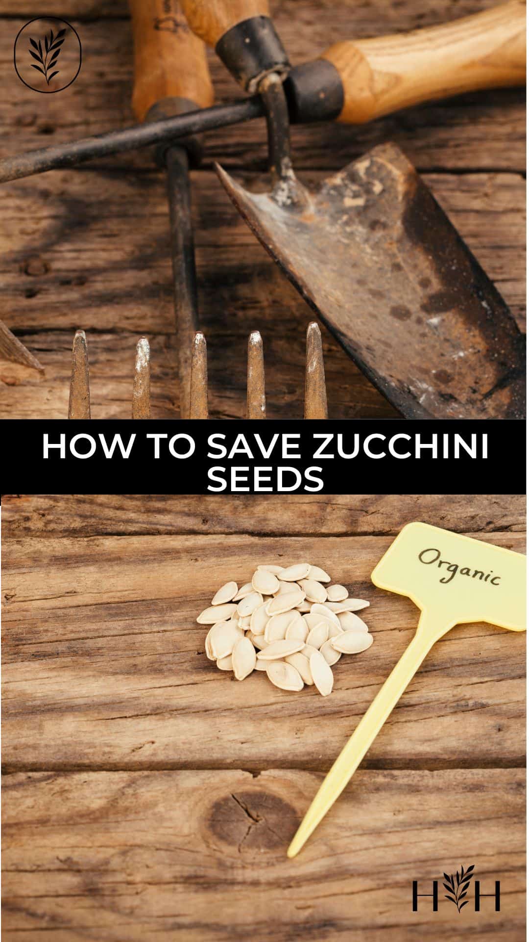 How to save zucchini seeds via @home4theharvest