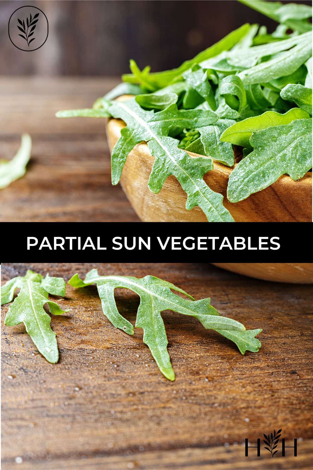 Partial sun vegetables via @home4theharvest