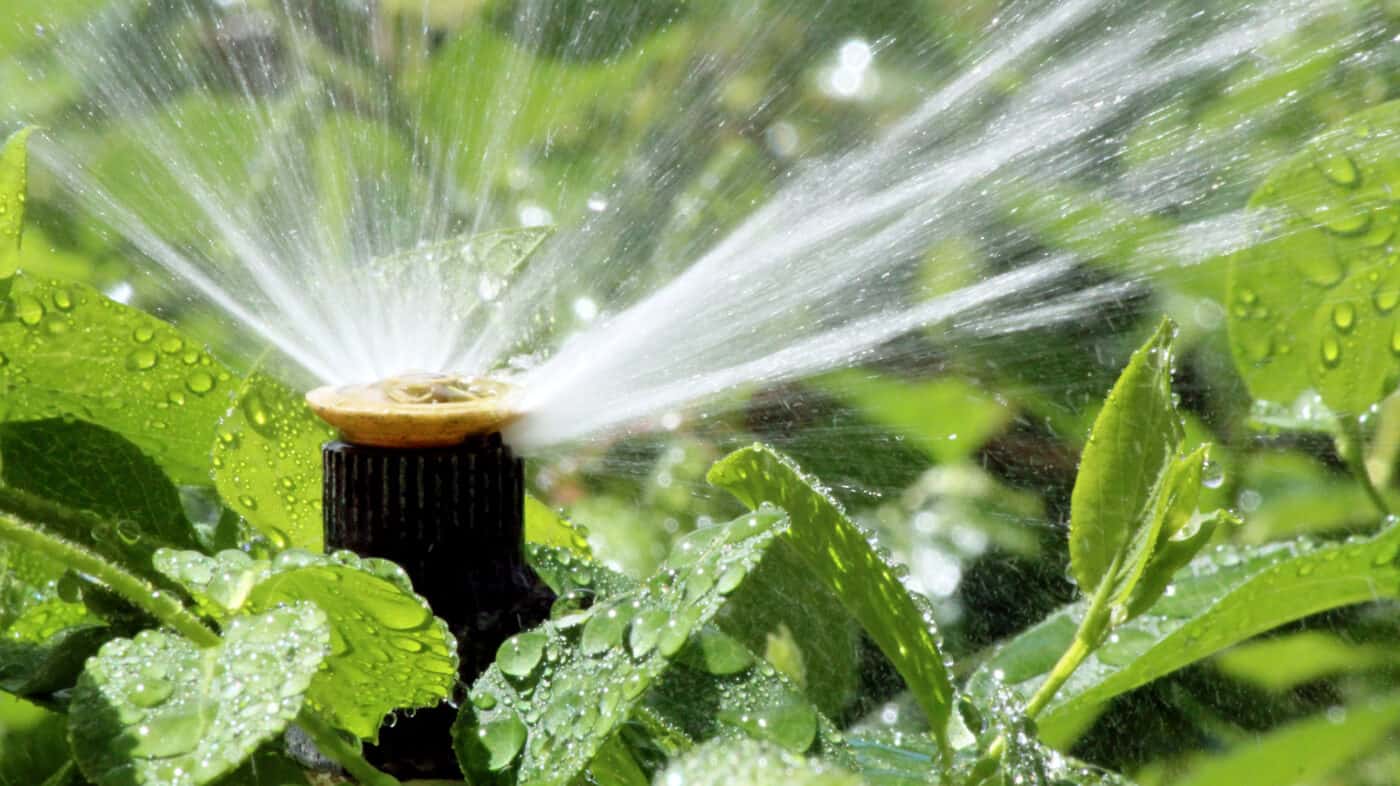 Automatic garden irrigation spray system watering flowerbed