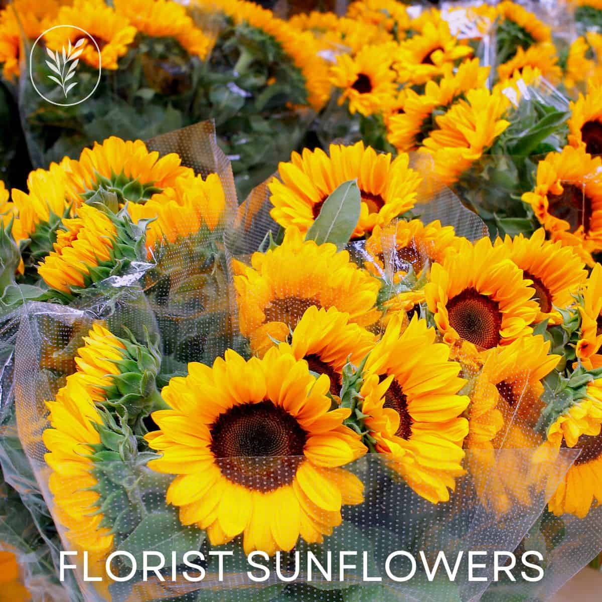 Florist sunflowers via @home4theharvest