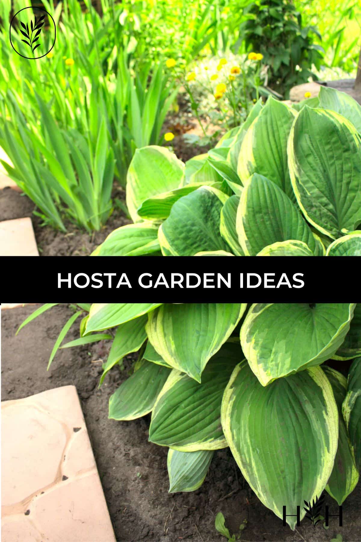 Hosta garden ideas via @home4theharvest