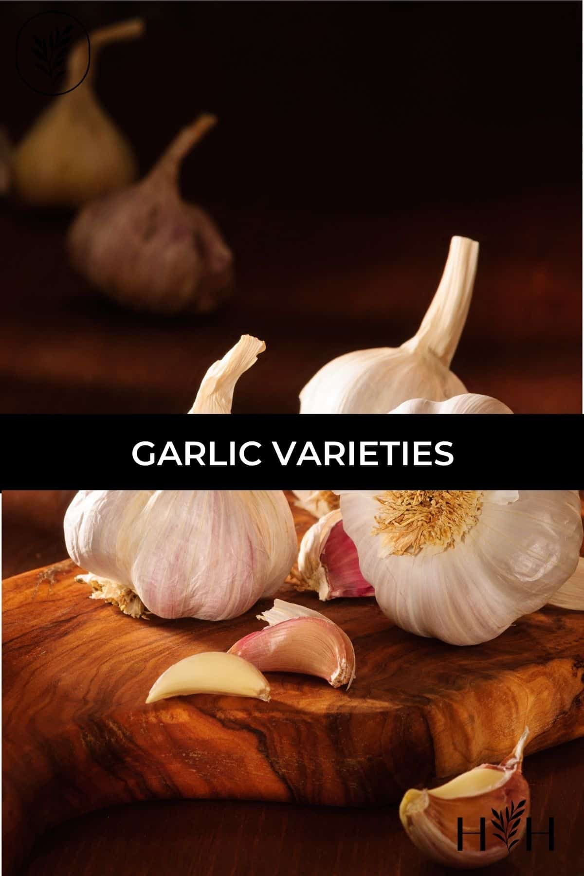 Garlic varieties via @home4theharvest