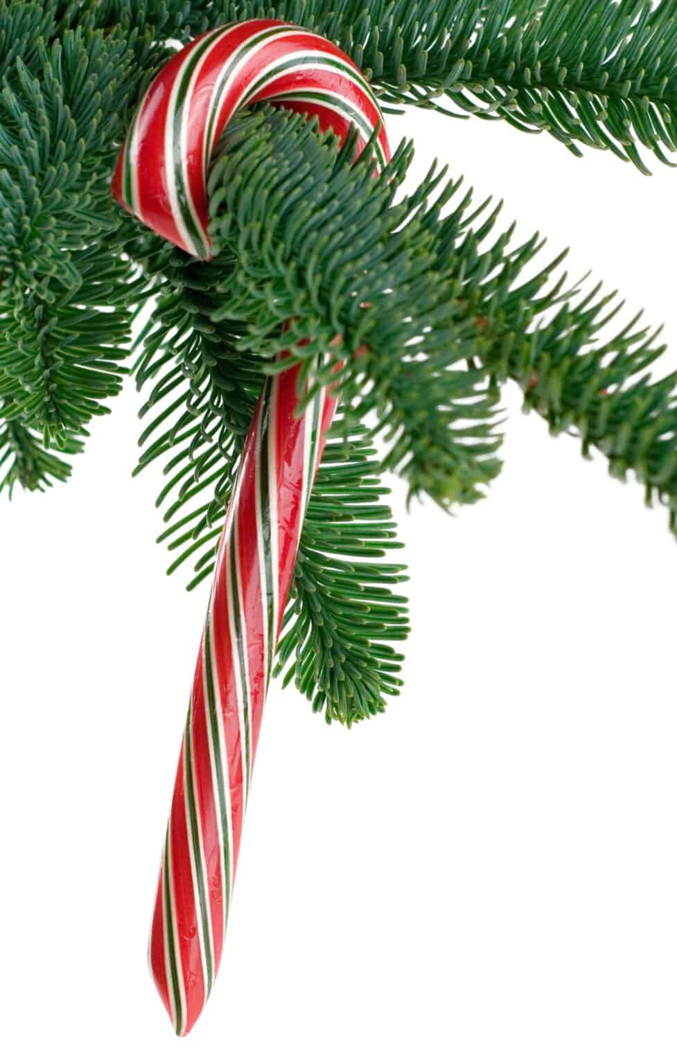10 peppermint Christmas decor ideas 🍭 🎄 Infusing festive flair with