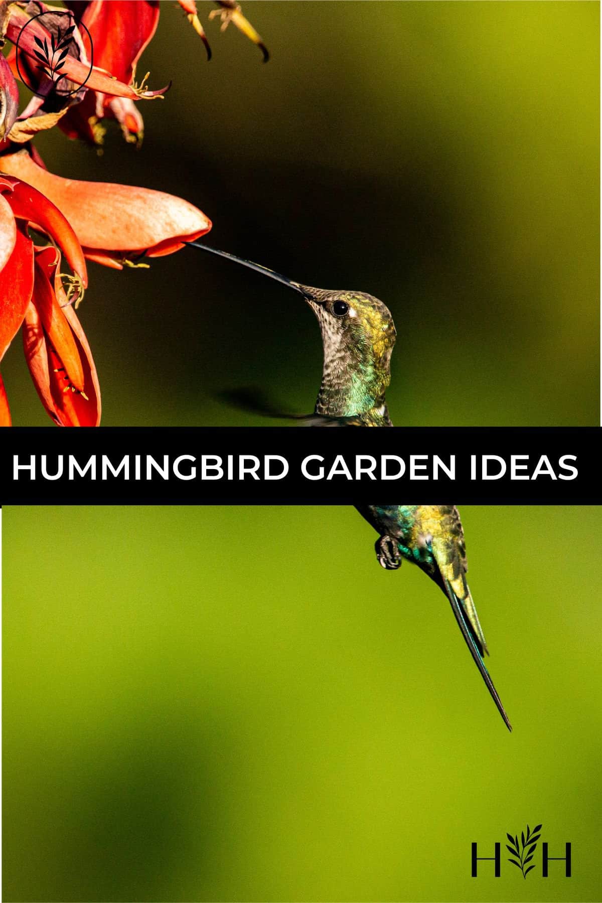 Hummingbird garden ideas via @home4theharvest