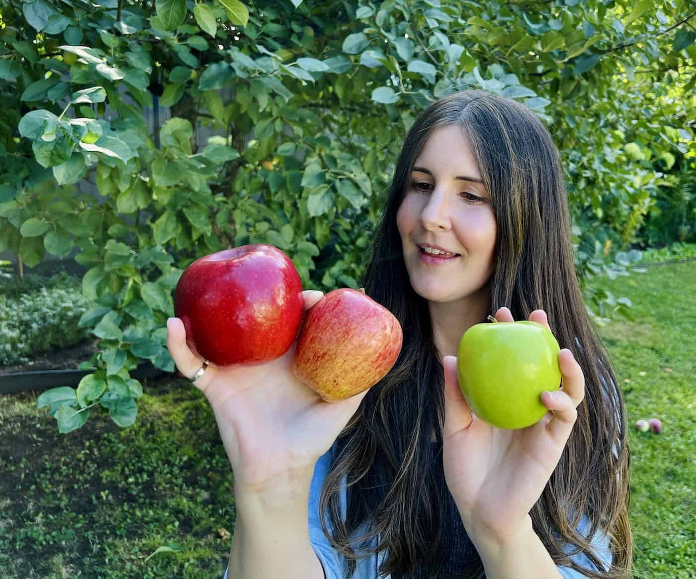 25+ best tasting apples 🍏 🙌 🍎 Discover the TOP varieties