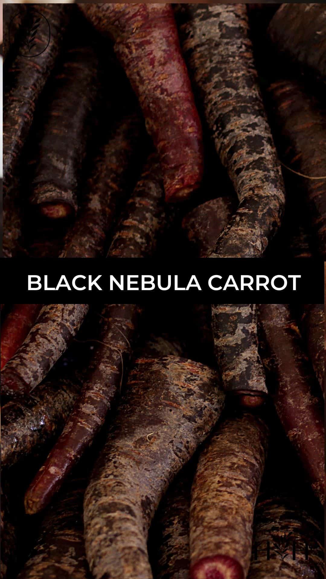 Black nebula carrot via @home4theharvest