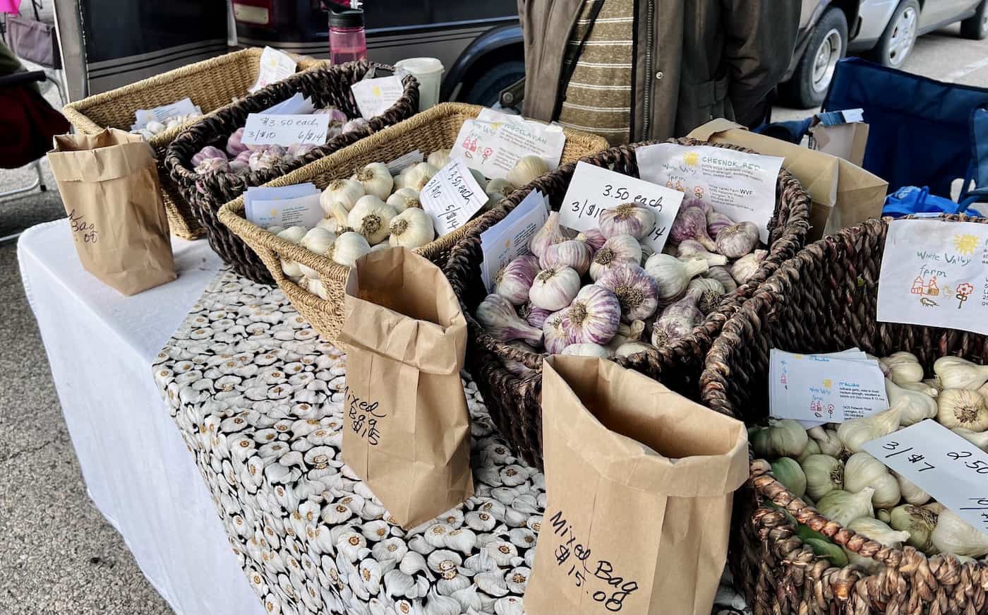 Different varieties of garlic at the farmers market