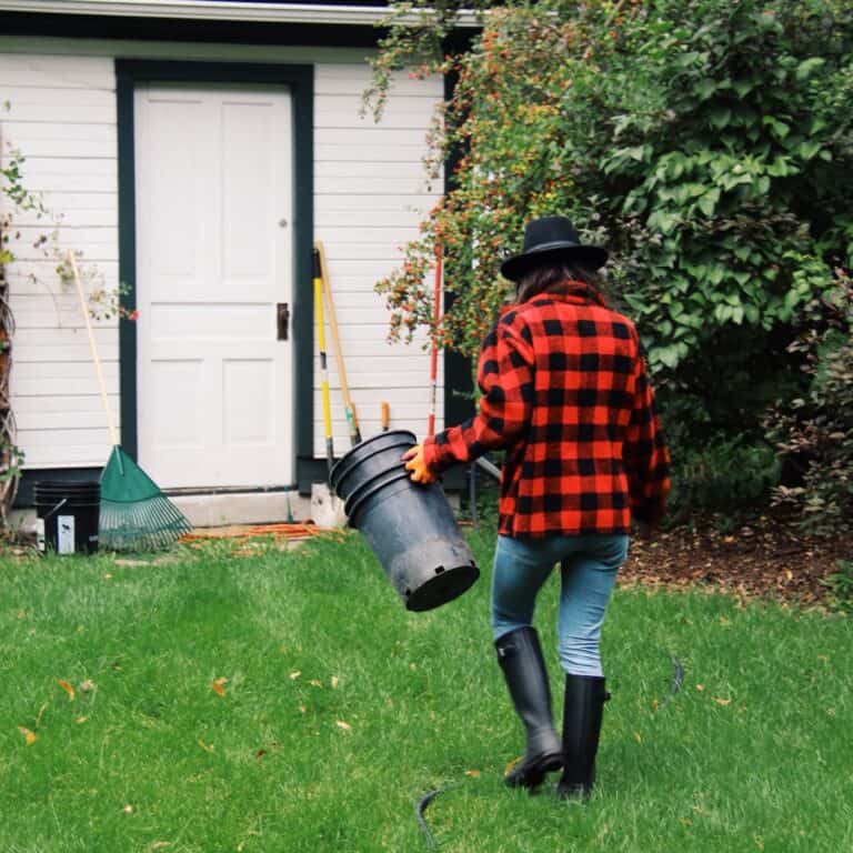 Fall yard clean up