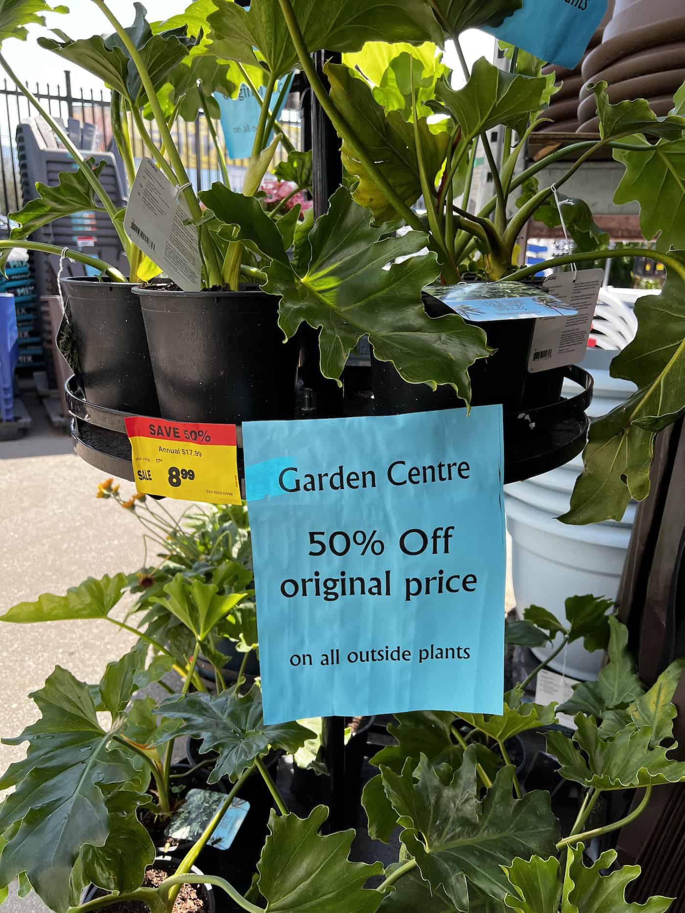 Garden center sales in the fall