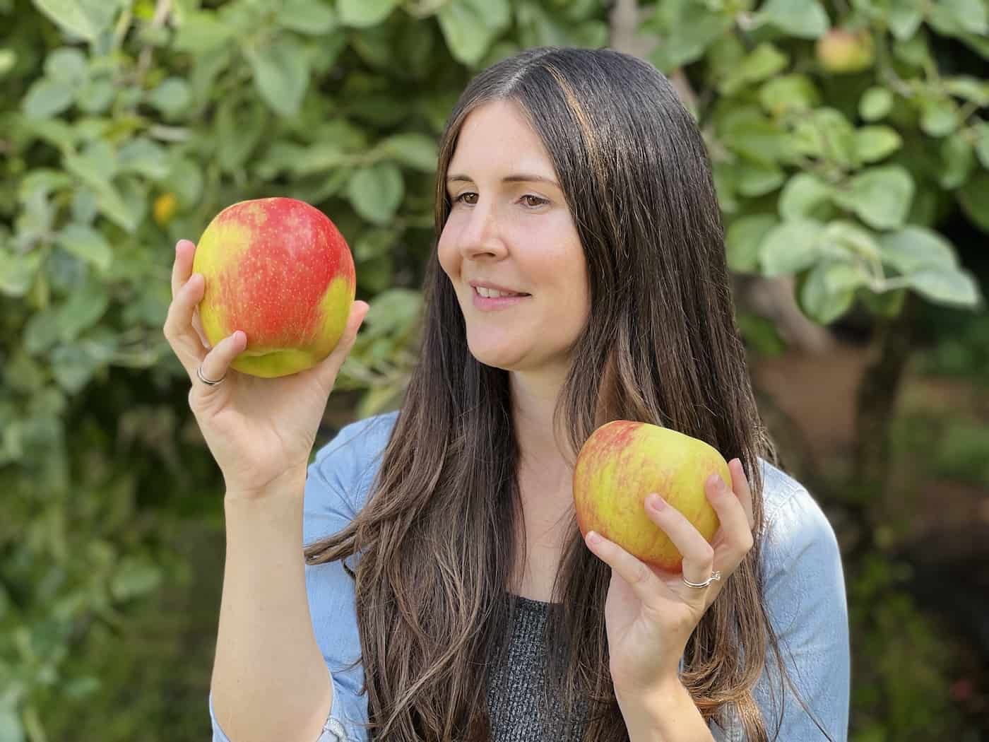 Identifying apple trees - honeycrisp