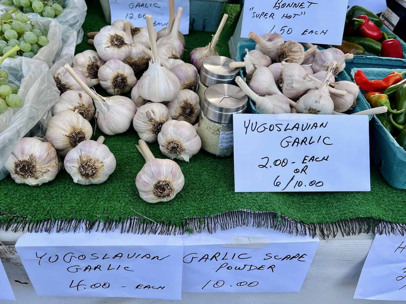 Look for seed garlic at the farmers market in the fall