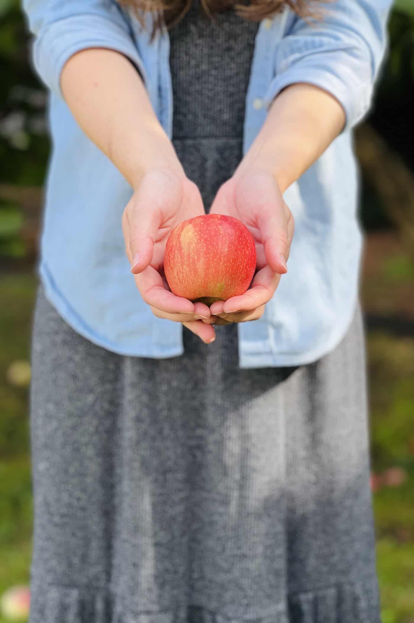 Pink Lady apples 🍏 💖 Uncover the sweet and tart charm