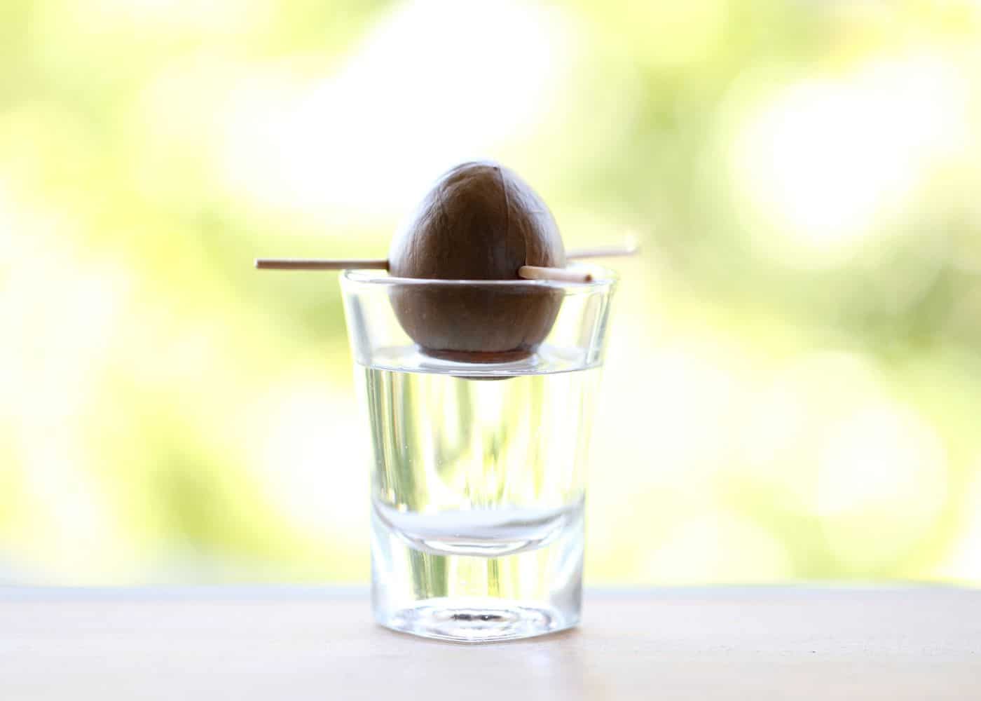 Sprouting an avocado seed in water