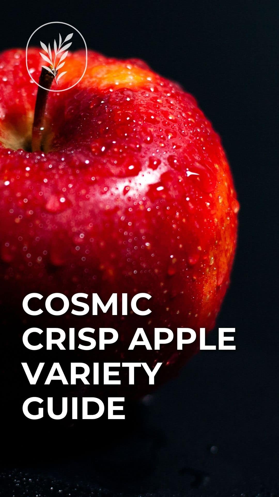 Cosmic crisp apple variety guide - story via @home4theharvest