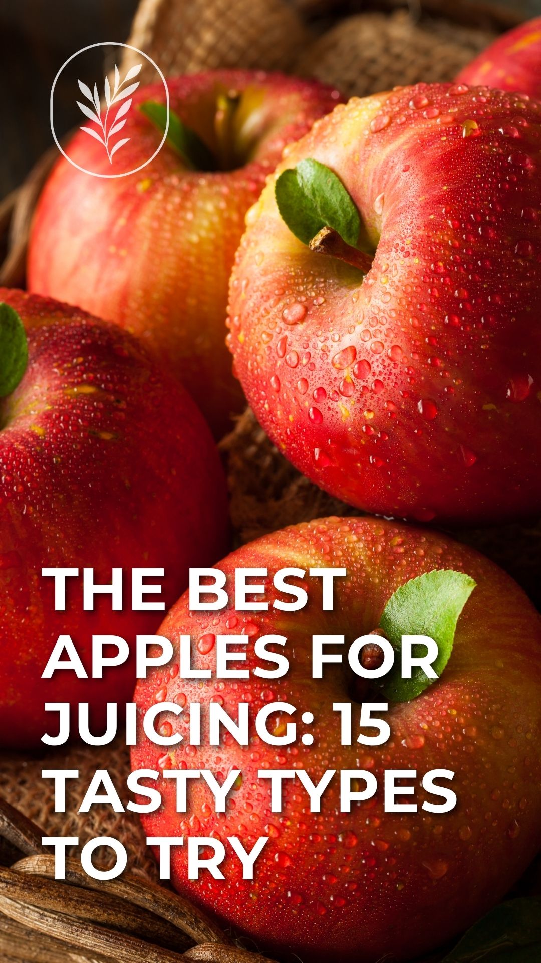 The best apples for juicing: 15 tasty types to try via @home4theharvest