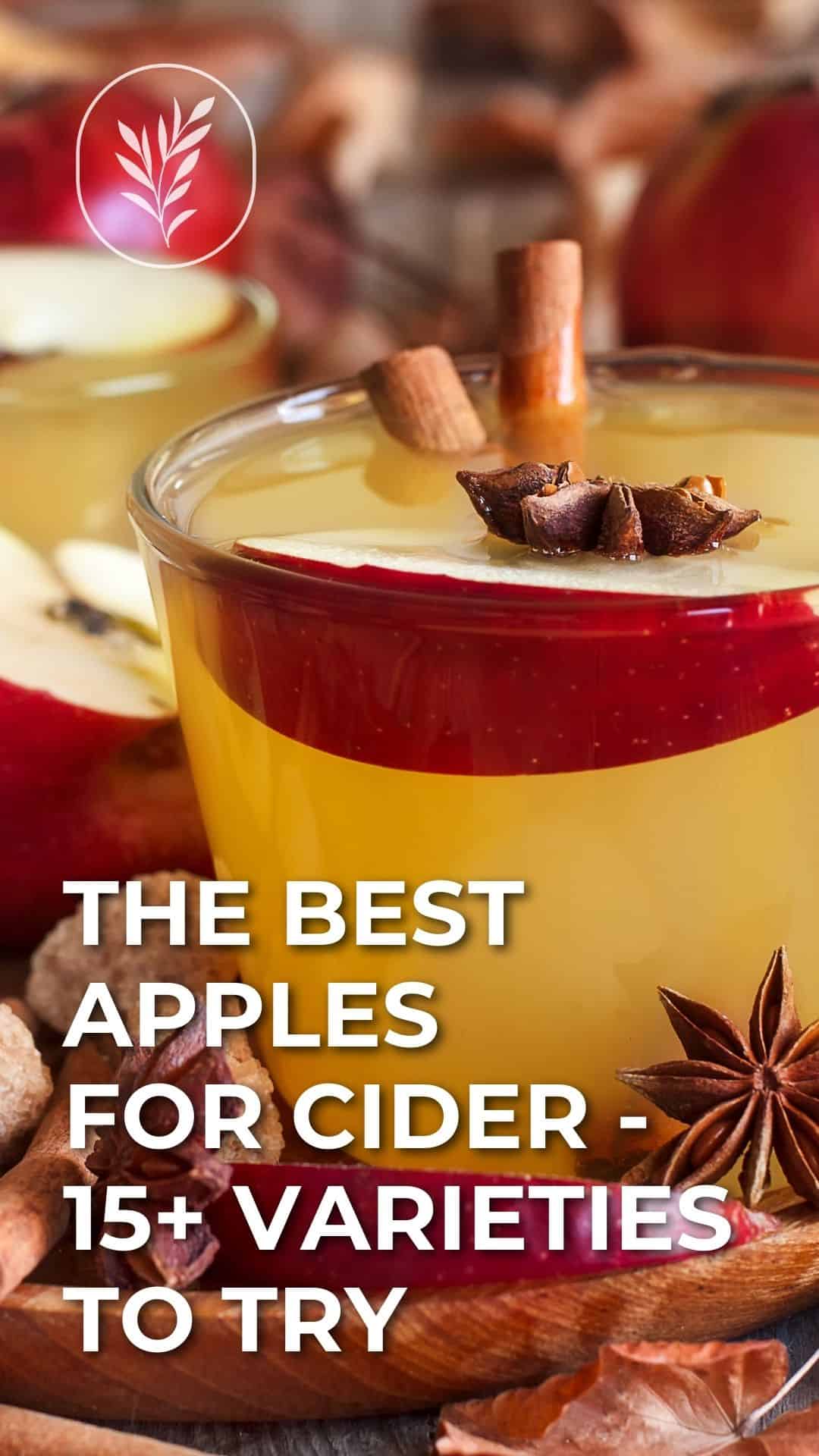 The best apples for cider - 15+ varieties to try - story via @home4theharvest