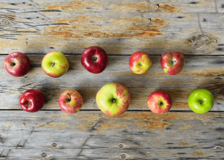 Best apples for cider: 15+ gourmet varieties to try