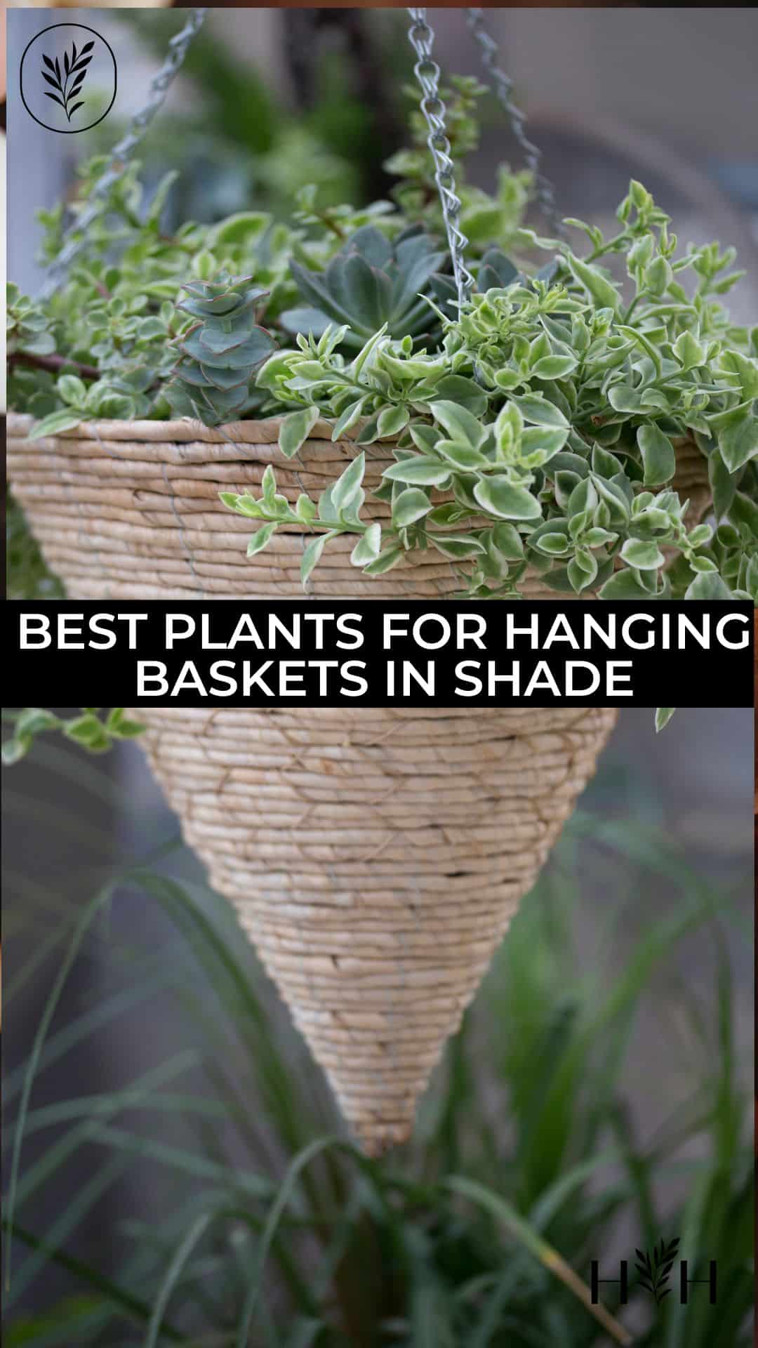 Best plants for hanging baskets in shade via @home4theharvest