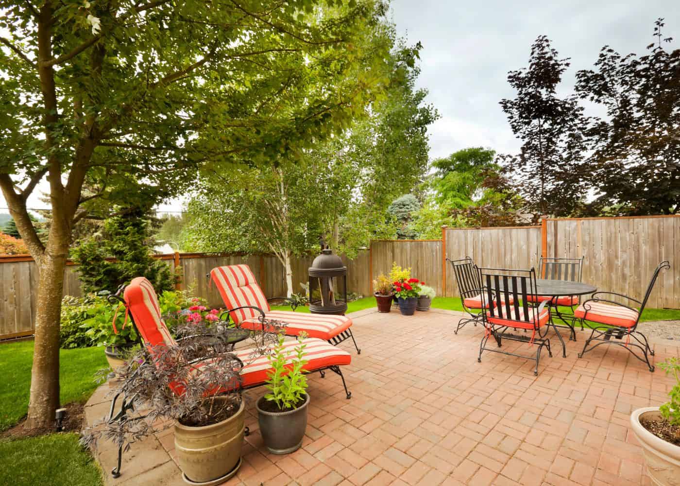 Best trees for backyard patio