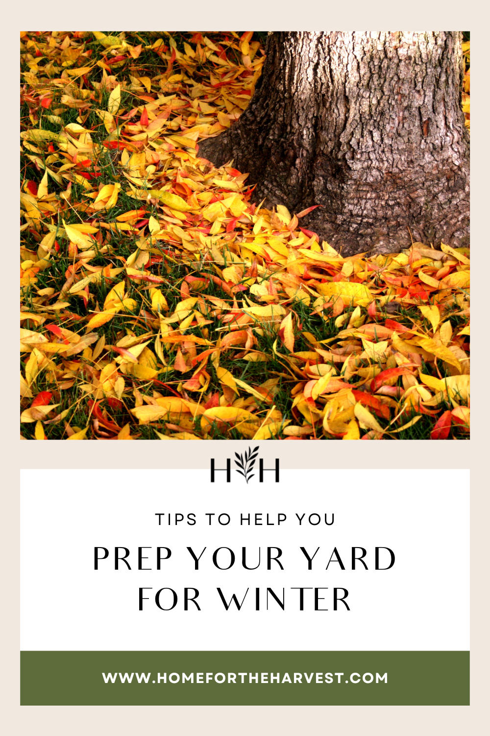 There are a few key areas of the yard to focus on when preparing the garden for winter. Here are the basic lawn & garden categories that require some clean-up in the fall via @home4theharvest