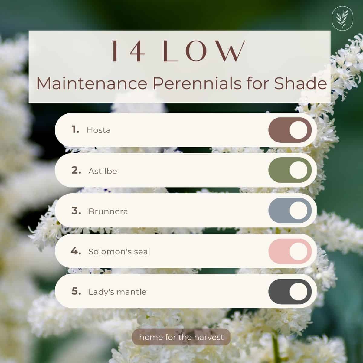 14 low maintenance perennials for shade - instagram via @home4theharvest
