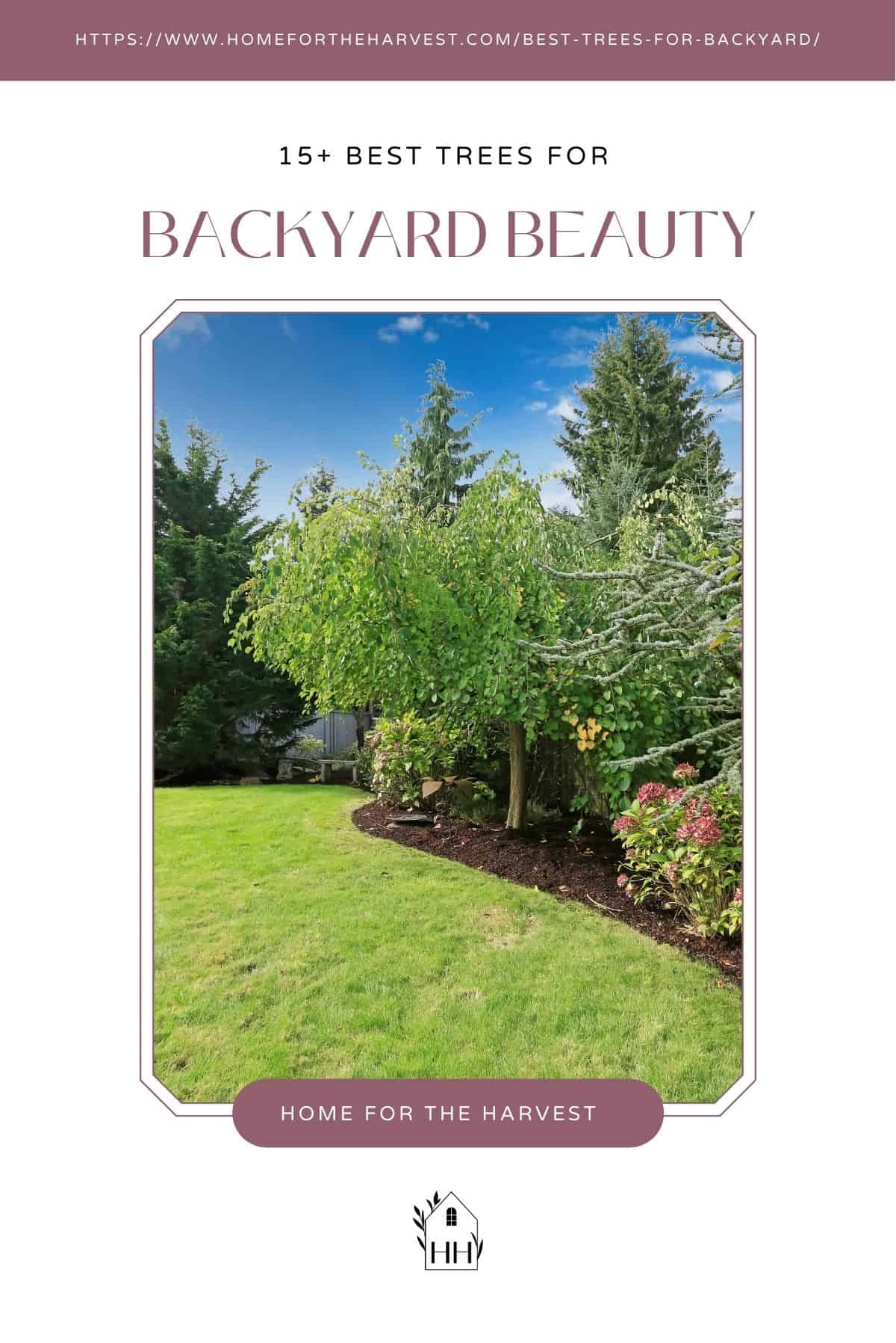 15+ best trees for backyard beauty, shade, and privacy - pinterest via @home4theharvest