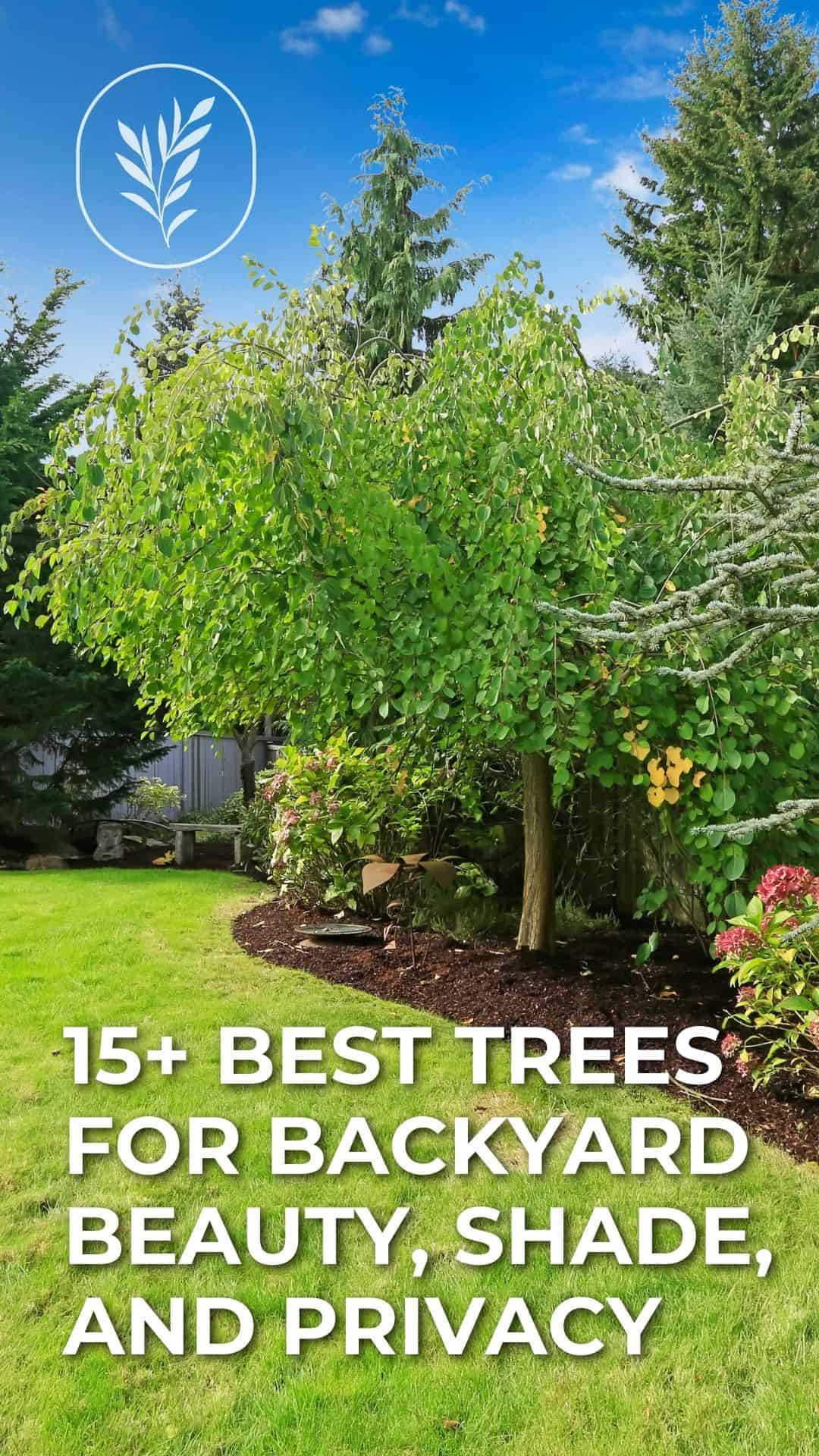 15+ best trees for backyard beauty, shade, and privacy - story via @home4theharvest