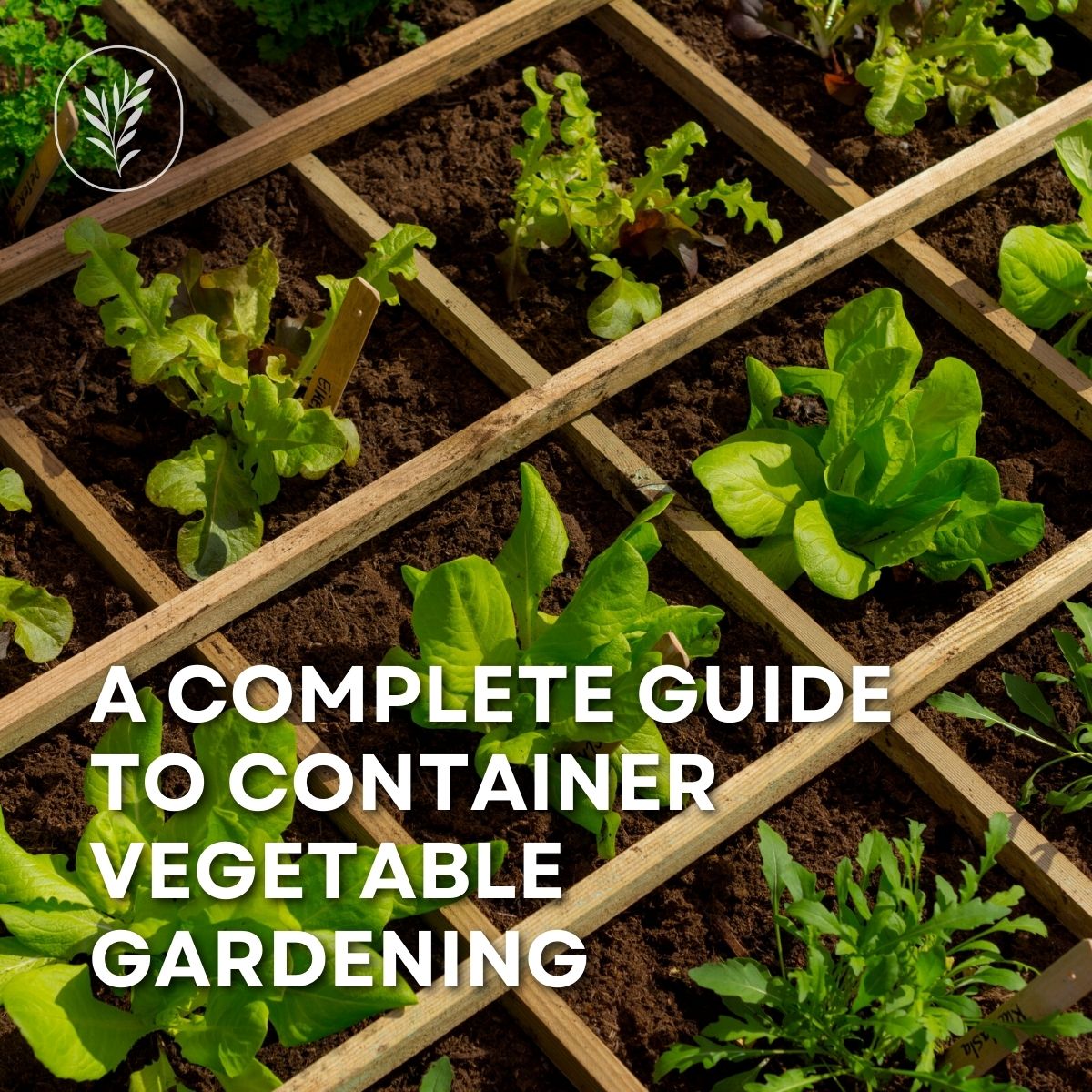 Container vegetable gardening a complete guide - instagram via @home4theharvest