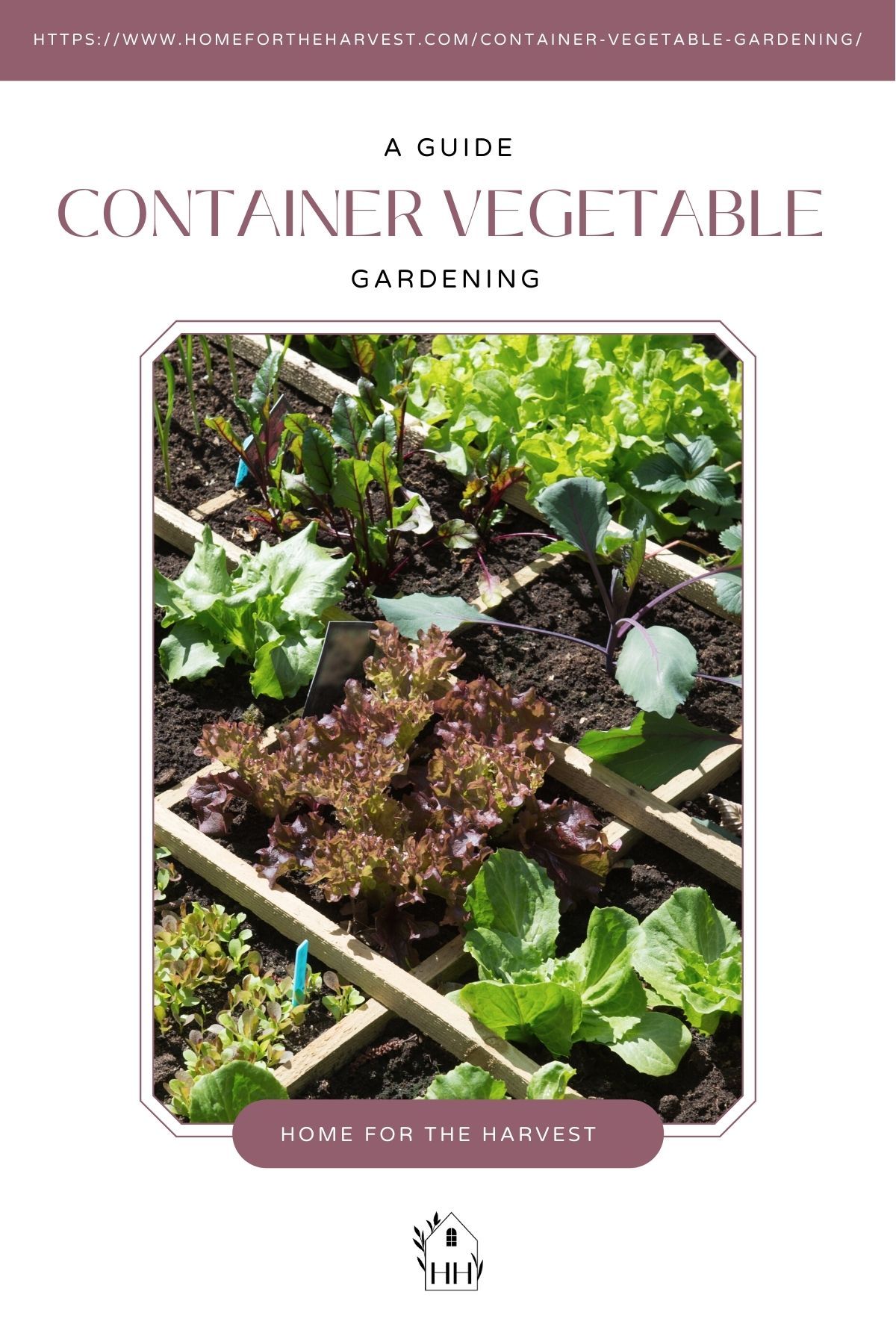 Container vegetable gardening a complete guide - pinterest via @home4theharvest