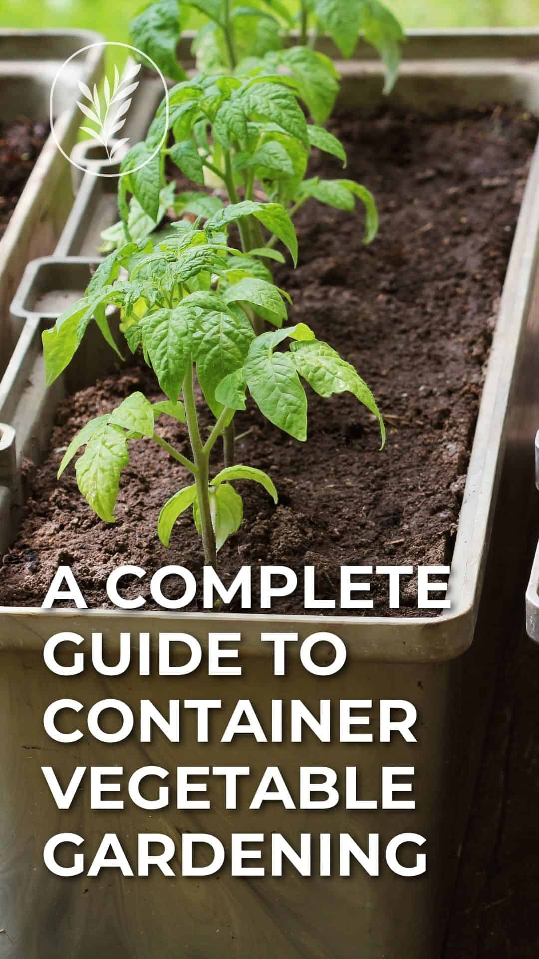 Container vegetable gardening a complete guide - story via @home4theharvest