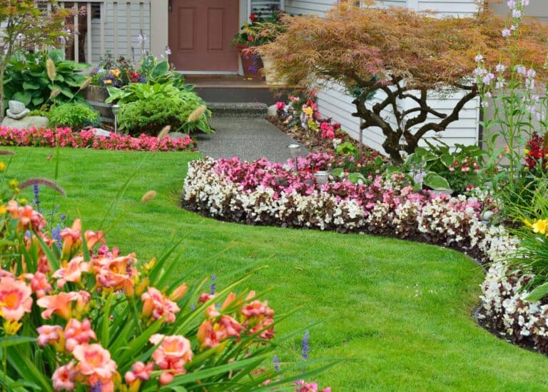 Annual vs perennial plants: Differences and benefits of each