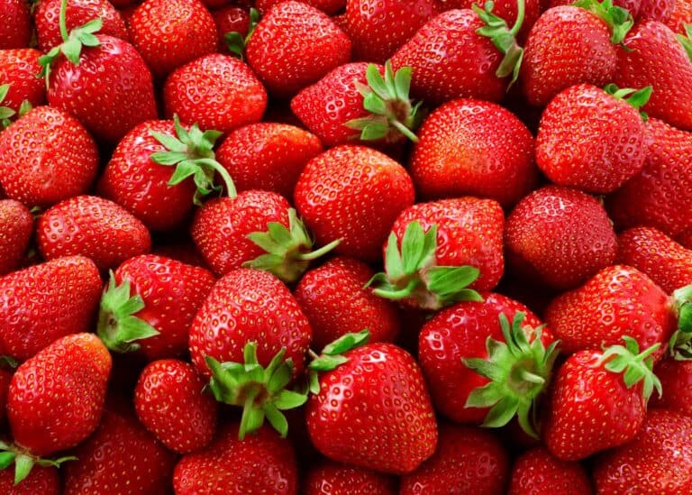 Day neutral strawberries