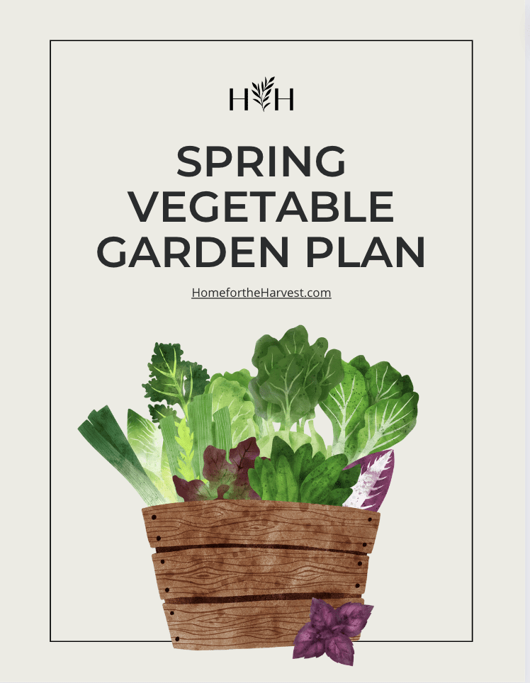 spring vegetable garden plan product for purchase