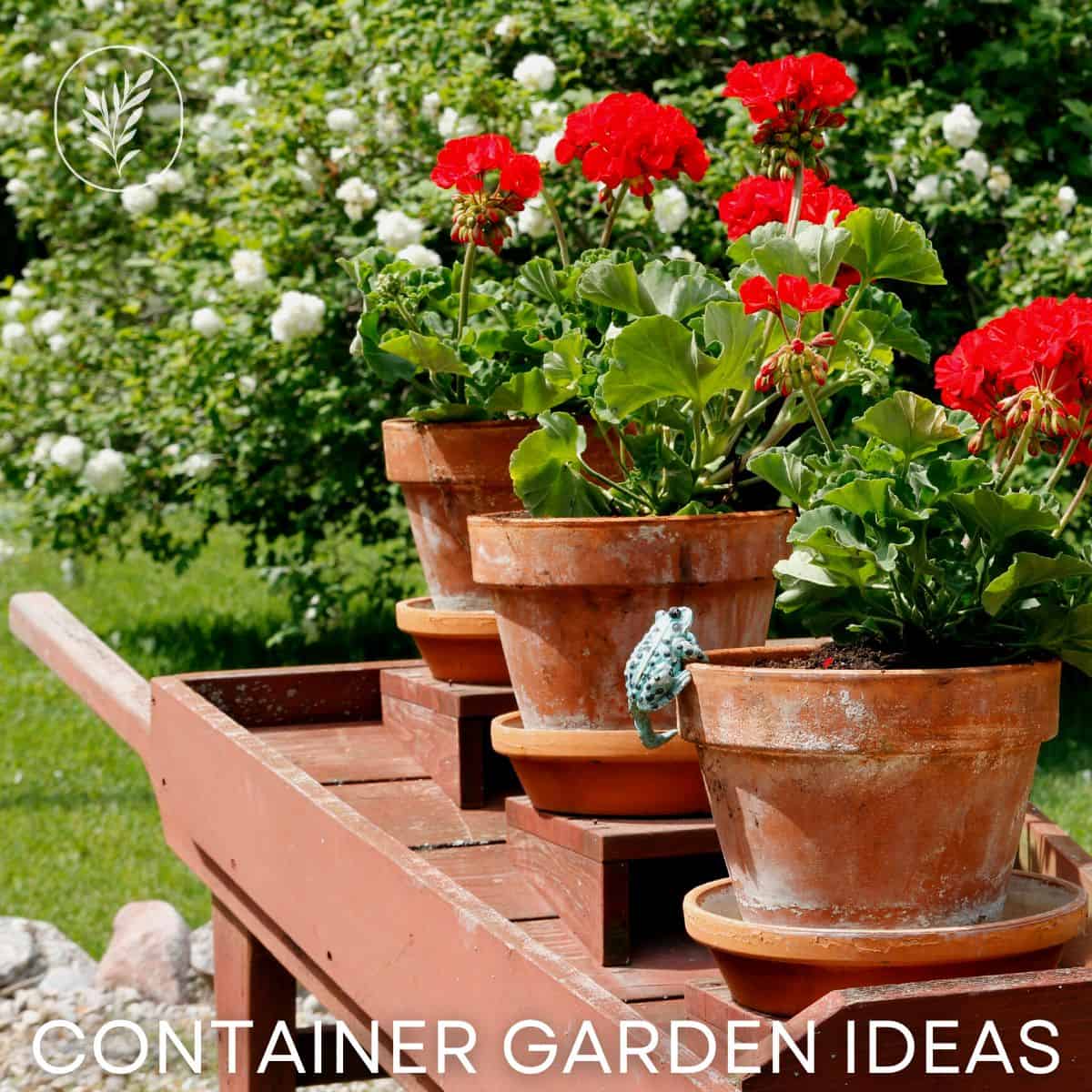 Container garden ideas via @home4theharvest