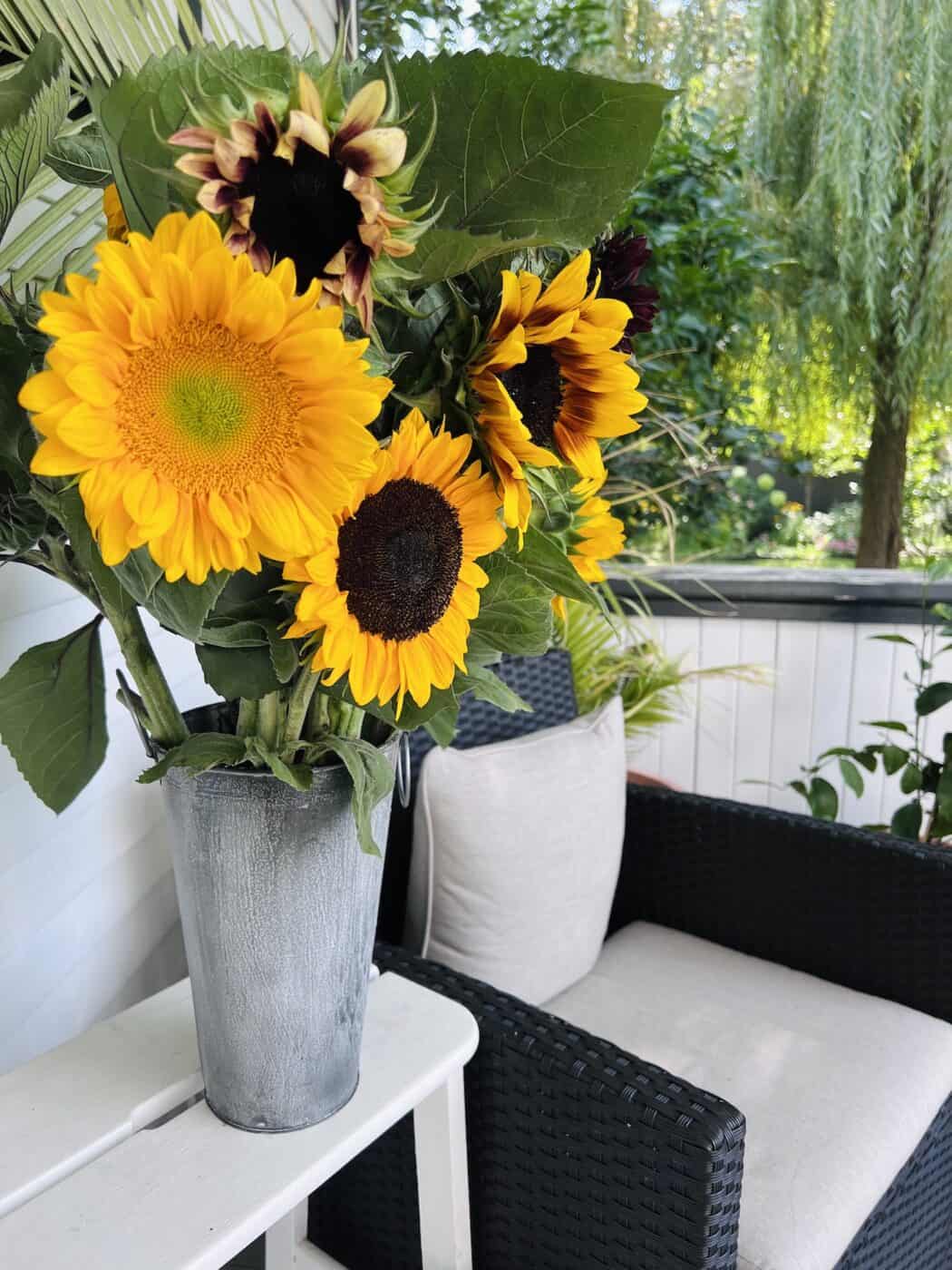 10 flowers to plant in May 🌱🌸 Usher in summer with a burst of color