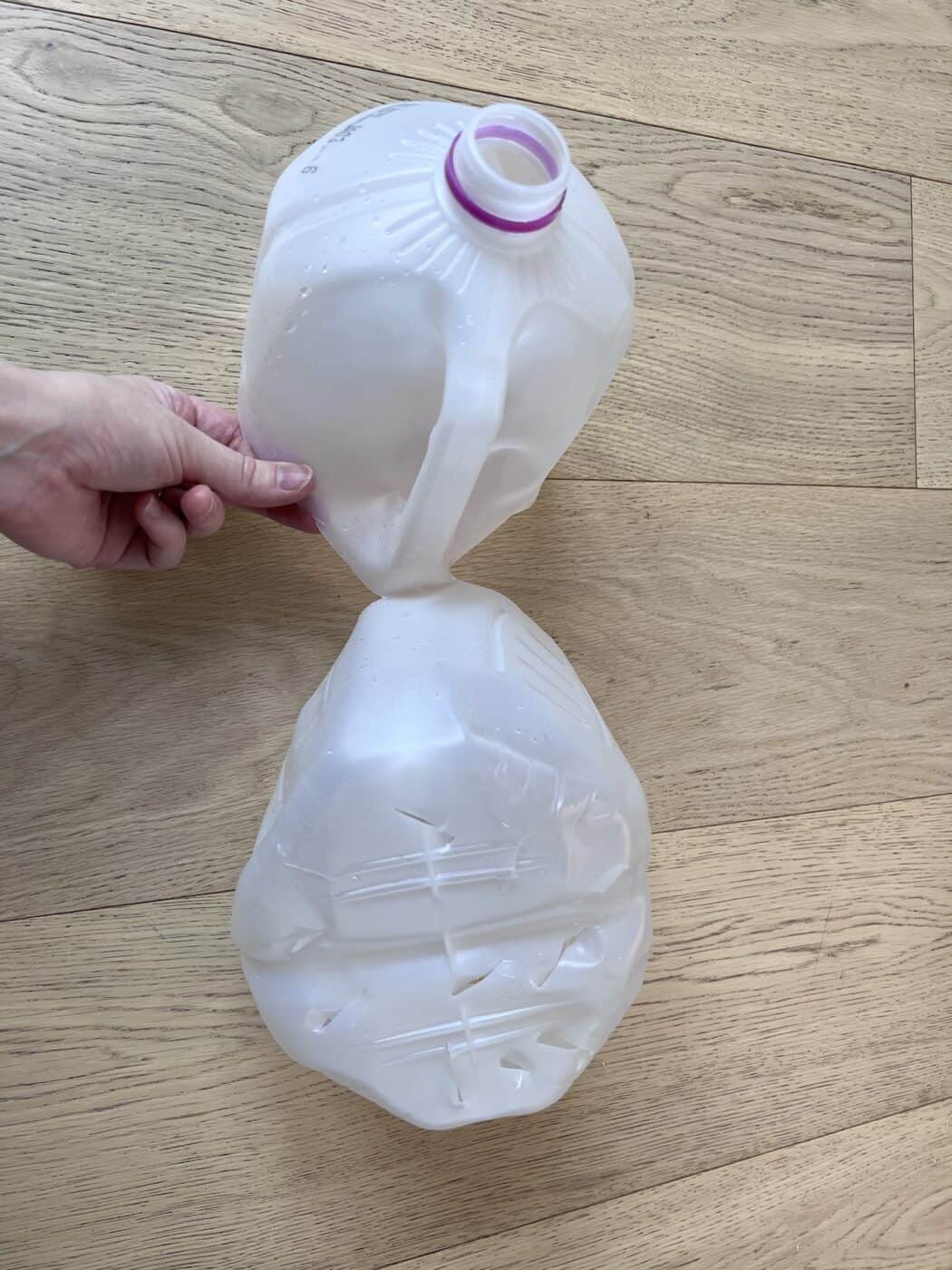 Winter sowing in milk jugs 🥛 🌱 A recyclable approach to gardening