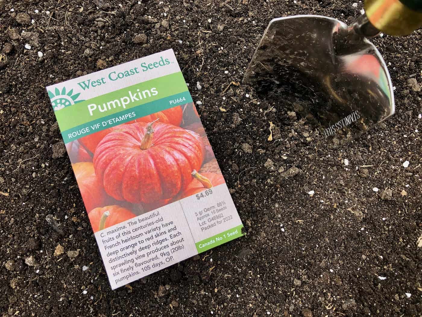 Packet of pumpkin seeds on garden soil