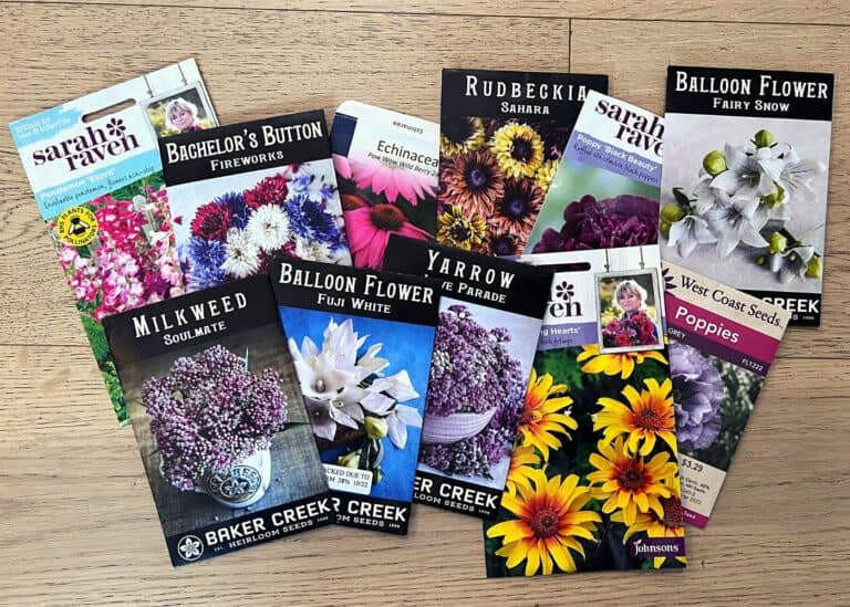 Seeds for winter sowing