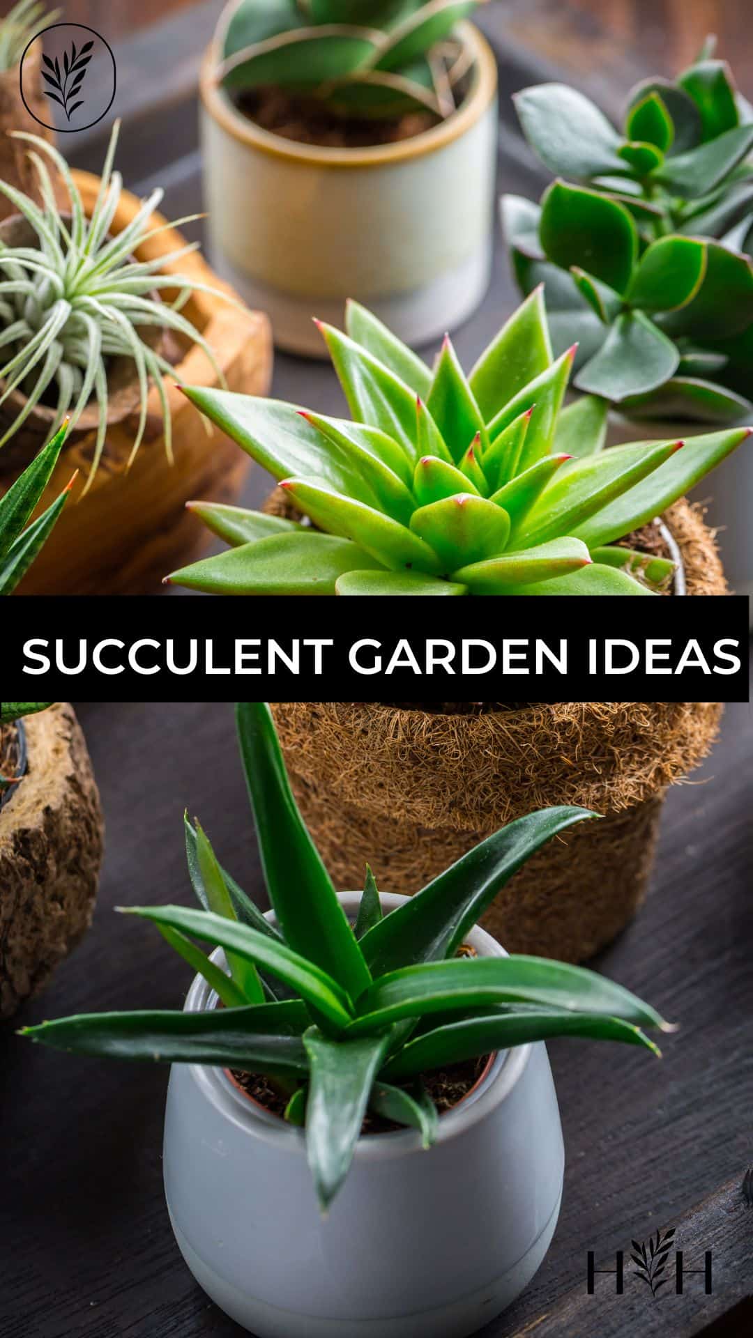 Succulent garden ideas via @home4theharvest