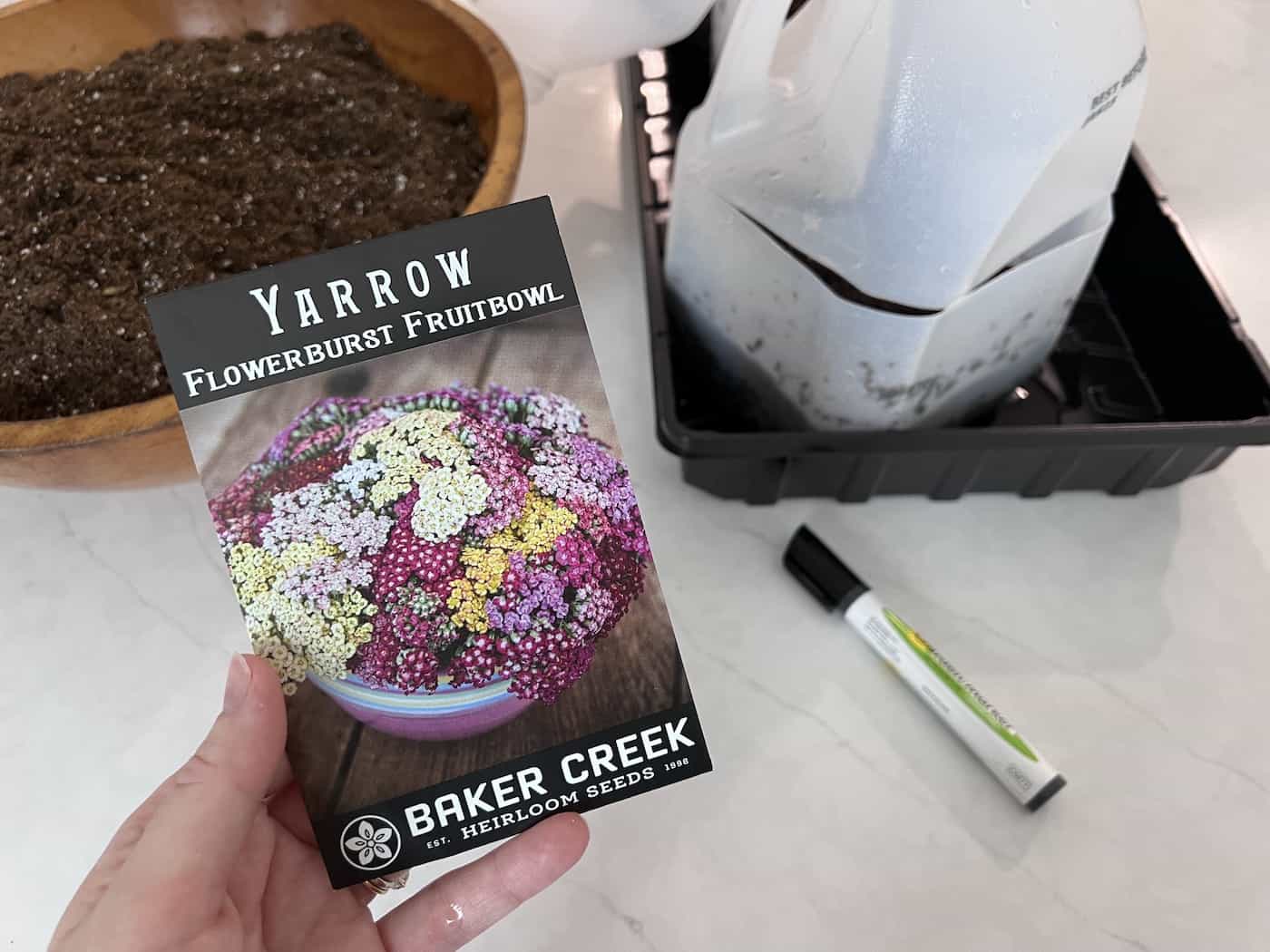 Yarrow seed packet - baker creek -flowerburst fruitbowl