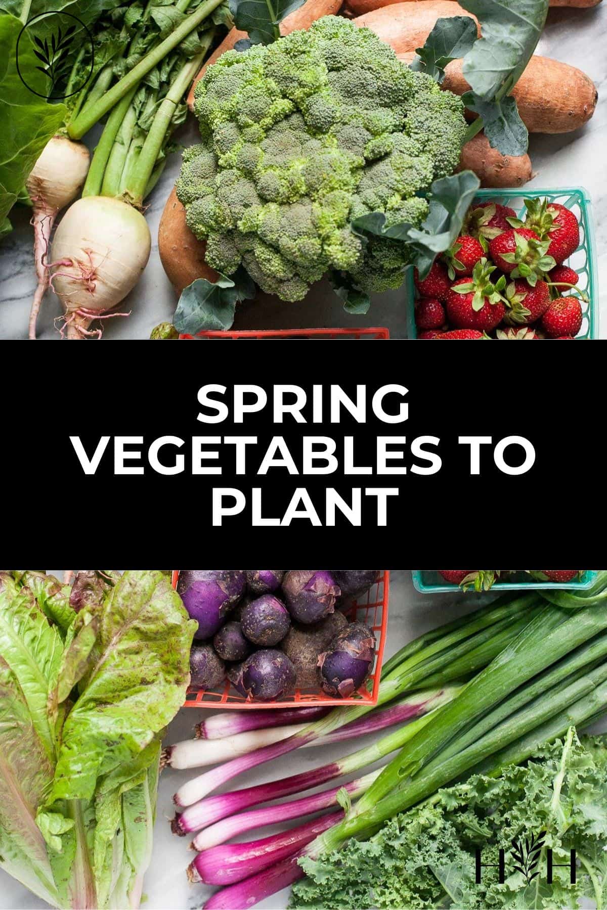 Spring vegetables to plant via @home4theharvest