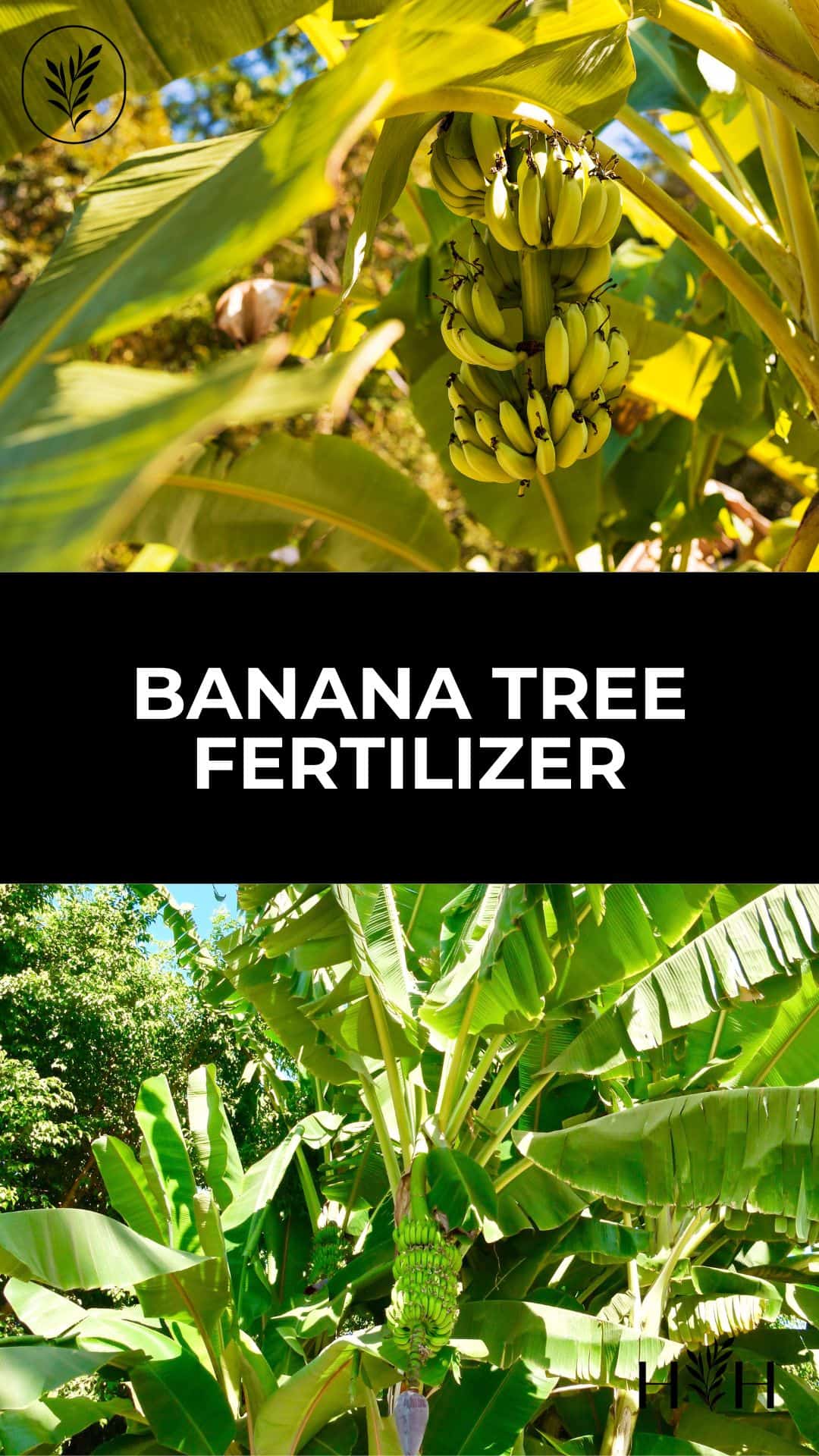 Banana tree fertilizer via @home4theharvest