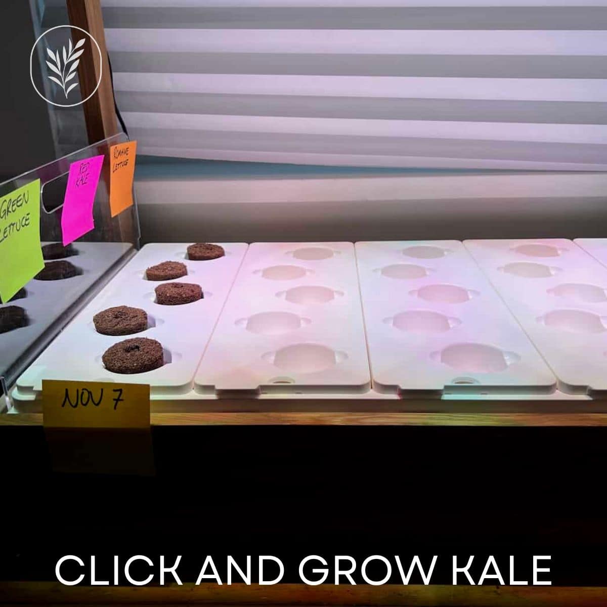 Click and grow kale via @home4theharvest