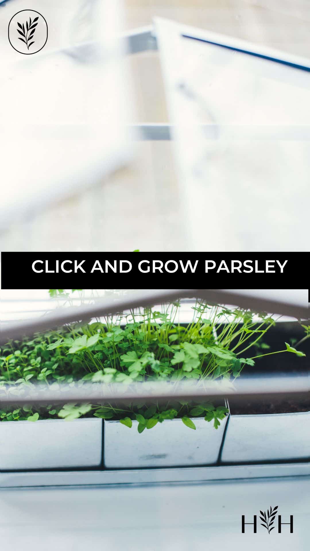 Click and grow parsley via @home4theharvest